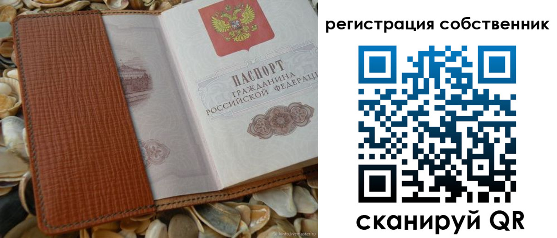 временная регистрация для школы в Лосино-Петровском